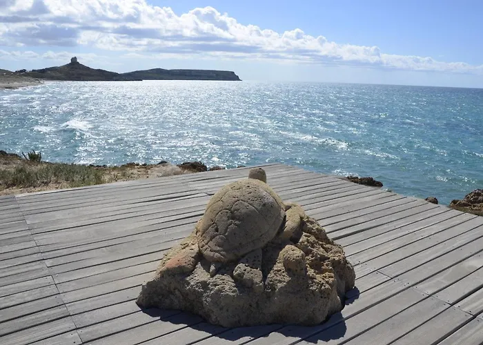 Artista Bed & Breakfast Càbras