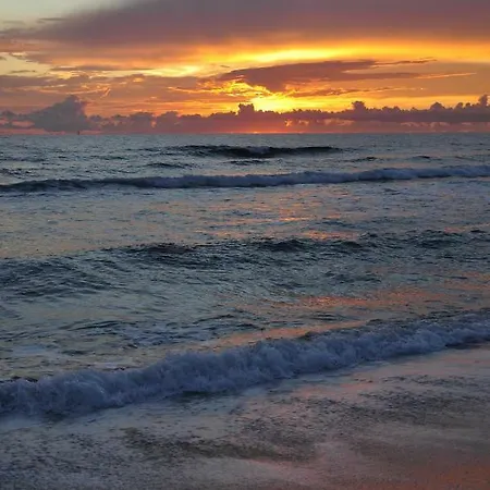 Artista B&B 까브라스