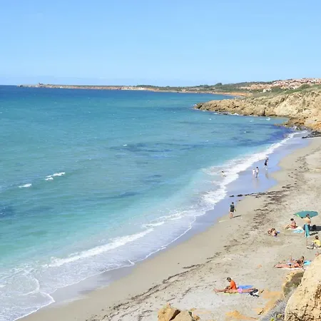 Artista 까브라스