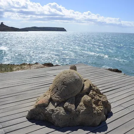 Artista Bed and Breakfast Càbras